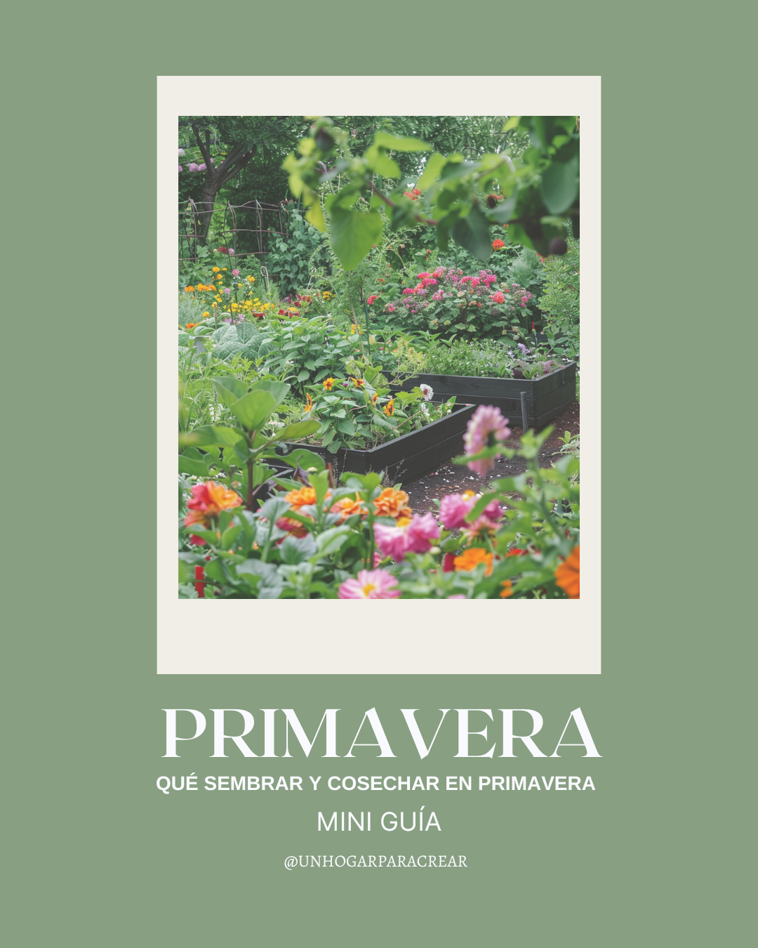 Guia de huertos de primavera